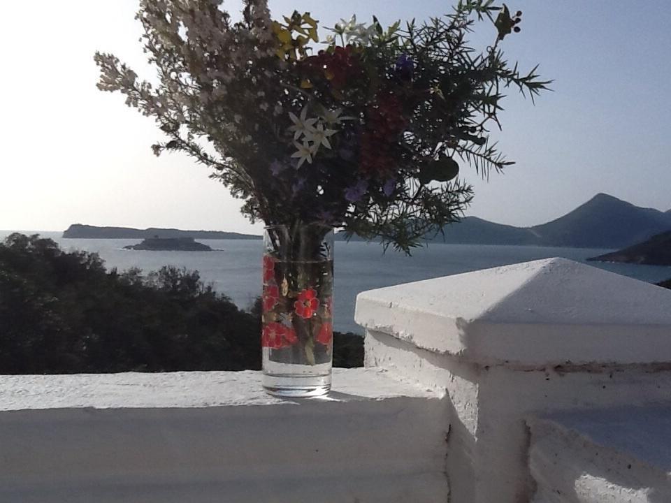 Villa Mirista Luštica Kamer foto