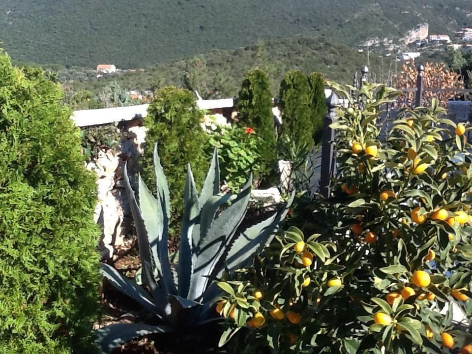 Villa Mirista Luštica Kamer foto